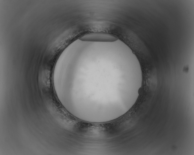 X0000115660696200912241359