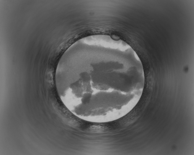 X0000115660699200912241359