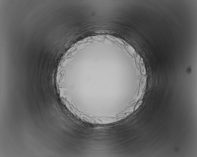 X0000115660700200912241359