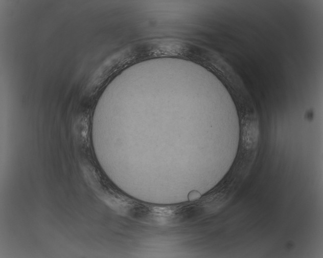 X0000115660701200912241359