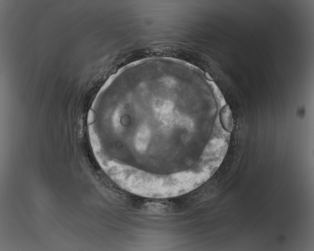 X0000115660703200912241359