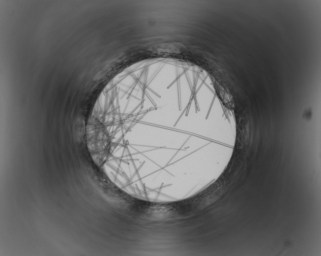 X0000115660704200912241359