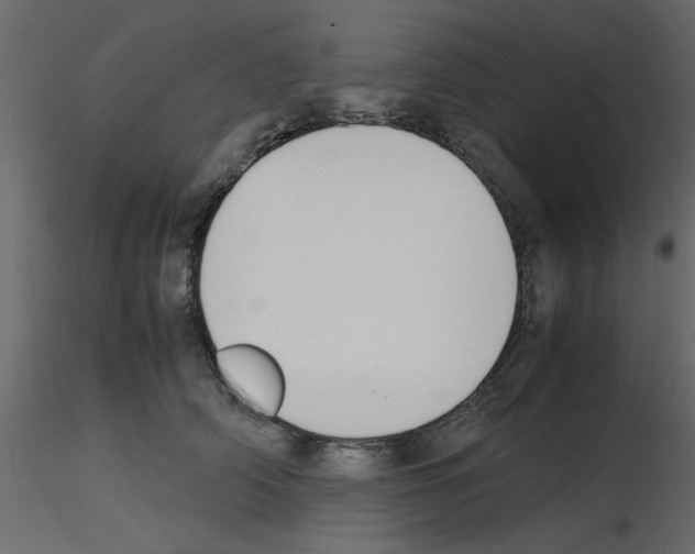 X0000115660706200912241359