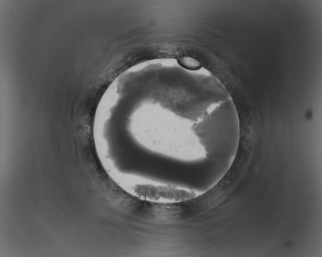 X0000115660707200912241359