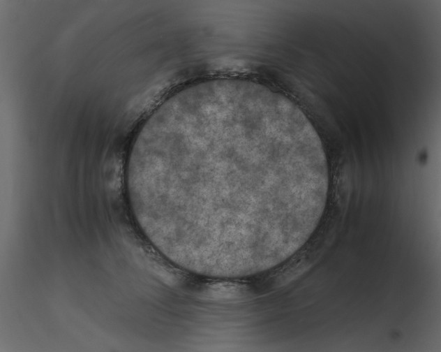 X0000115660708200912241359