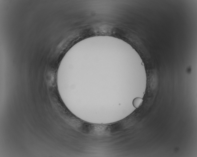 X0000115660709200912241359