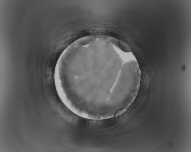 X0000115660711200912241359