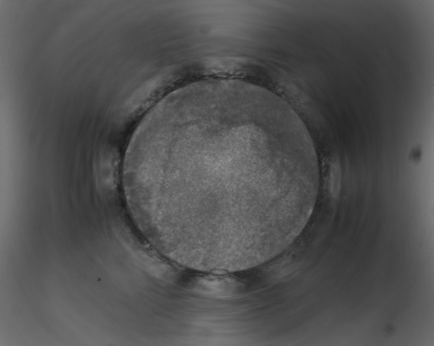 X0000115660712200912241359