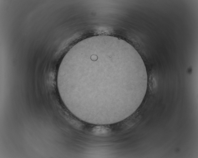 X0000115660714200912241359