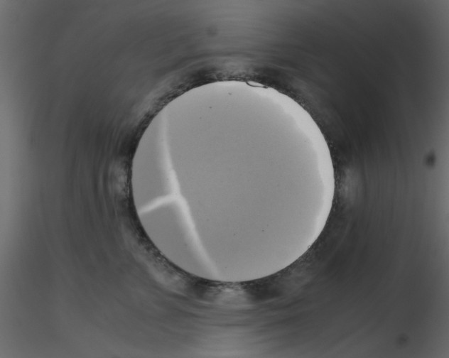 X0000115660715200912241359