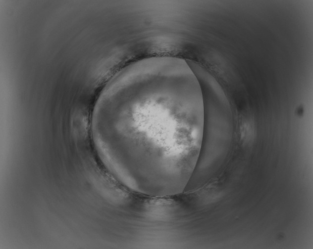 X0000115660716200912241359