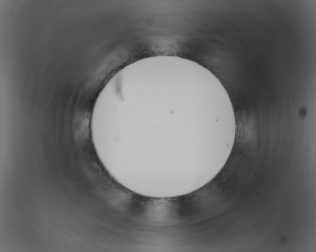 X0000115660717200912241359