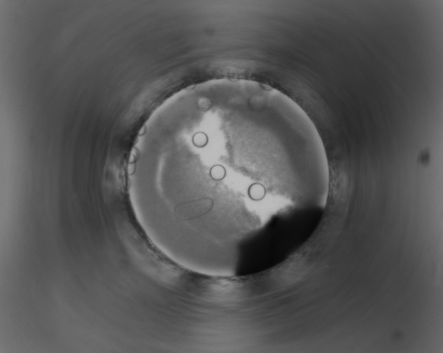 X0000115660718200912241359