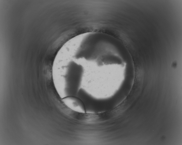 X0000115660719200912241359