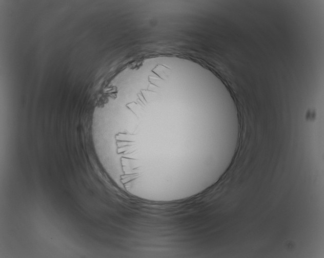 X0000115660720200912241359