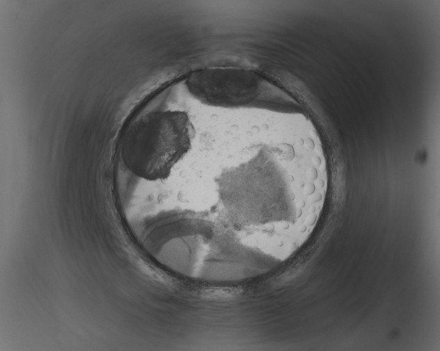 X0000115660721200912241358