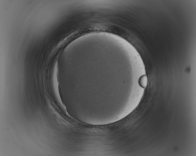 X0000115660722200912241358