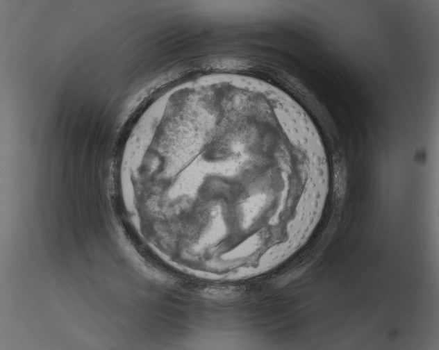 X0000115660725200912241358