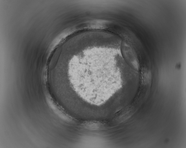 X0000115660726200912241358