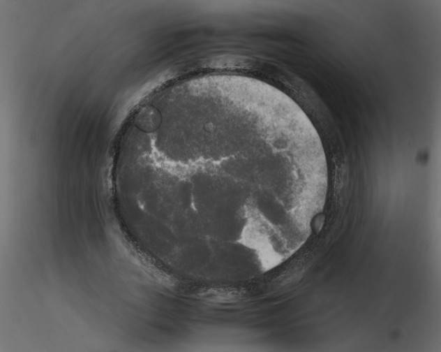 X0000115660727200912241358