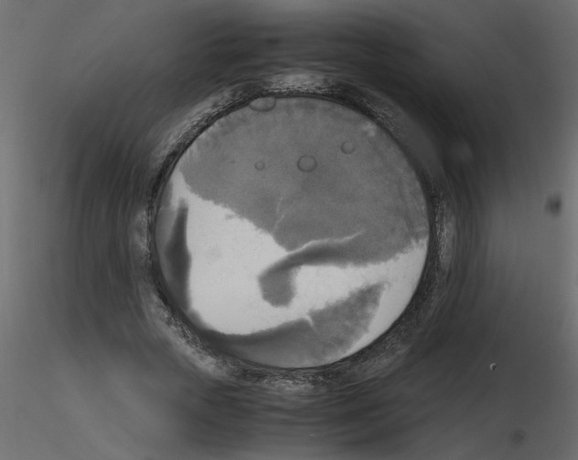 X0000115660729200912241358