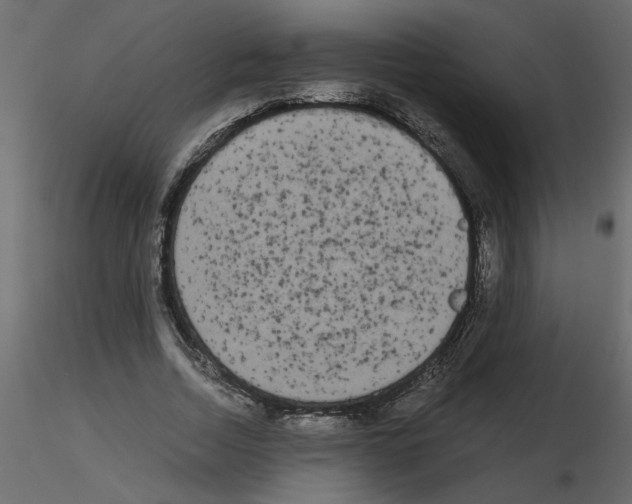 X0000115660730200912241358