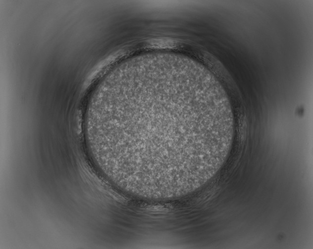 X0000115660731200912241358