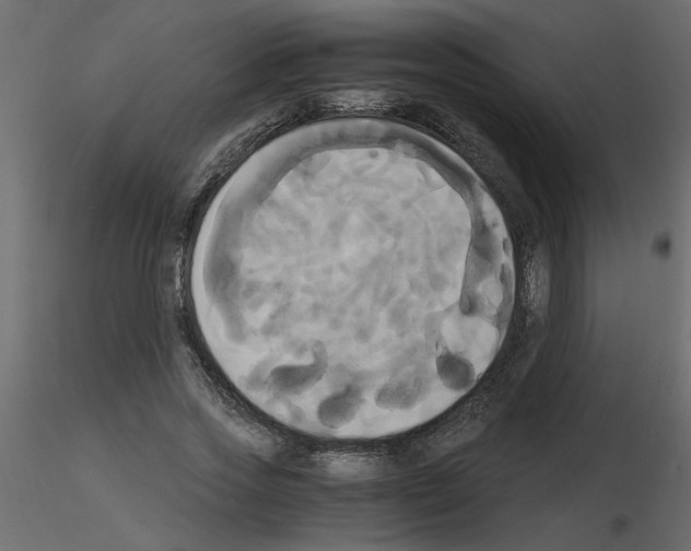 X0000115660733200912241358