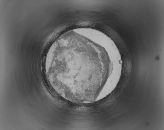 X0000115660734200912241358