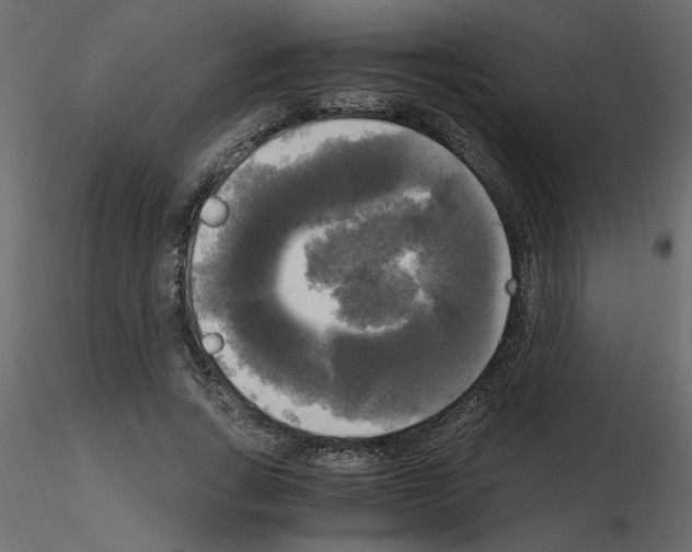 X0000115660735200912241358