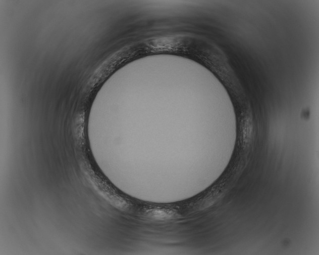 X0000115660737200912241358