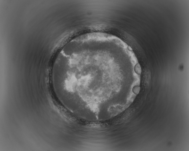 X0000115660738200912241358