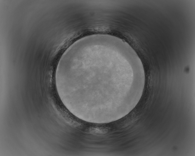 X0000115660739200912241358