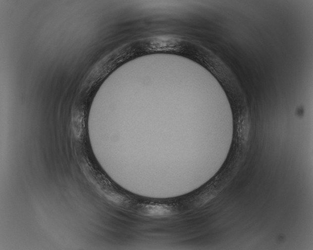 X0000115660741200912241358