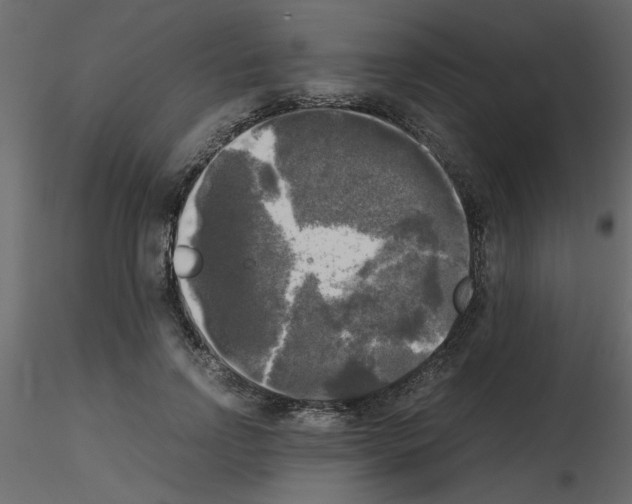 X0000115660742200912241358