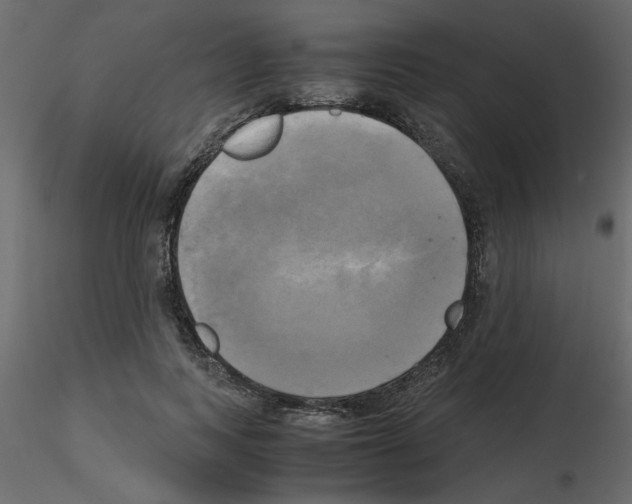 X0000115660743200912241358