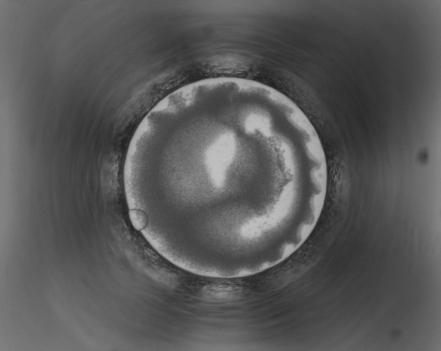 X0000115660745200912241358