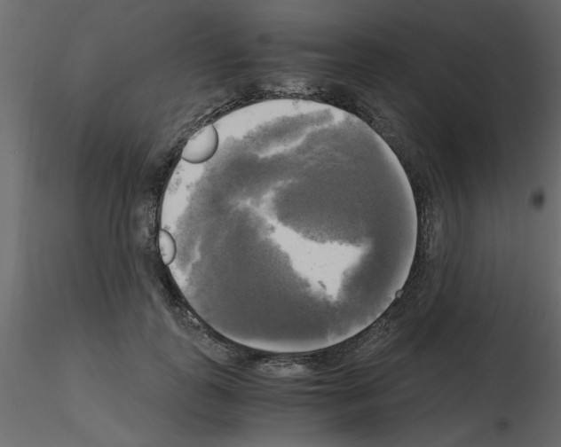 X0000115660747200912241358