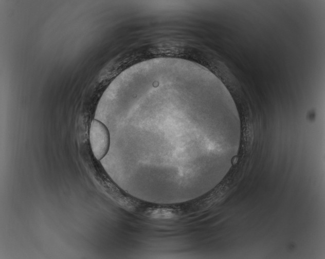 X0000115660751200912241358