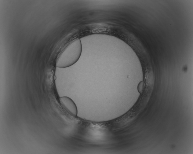 X0000115660753200912241358