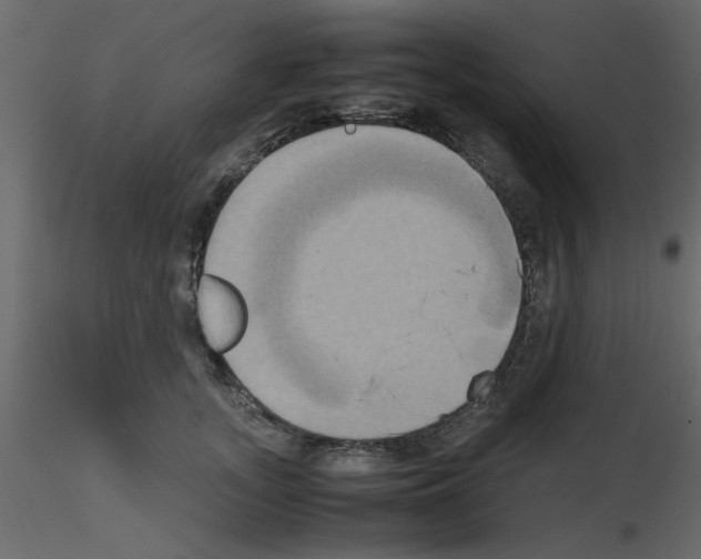 X0000115660755200912241358