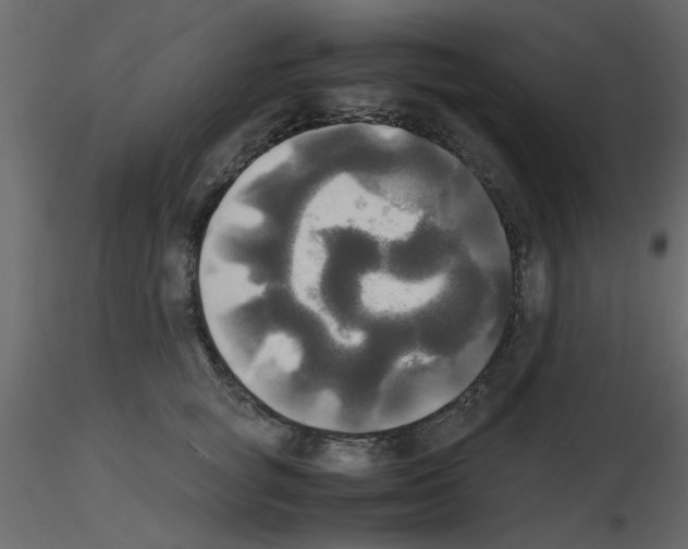 X0000115660757200912241358