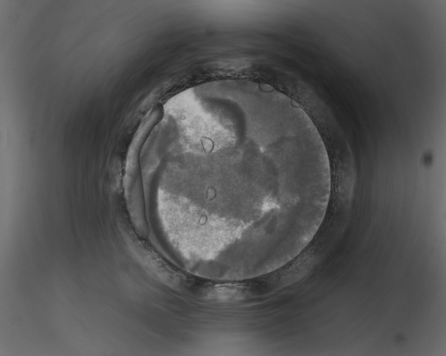 X0000115660758200912241358