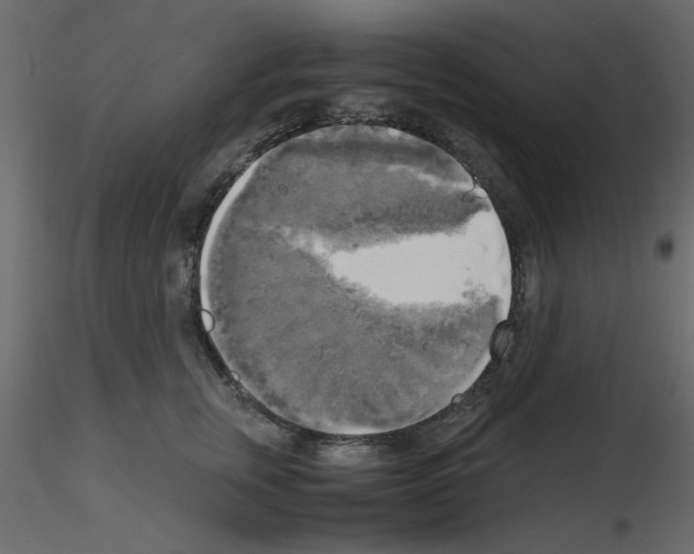 X0000115660759200912241358