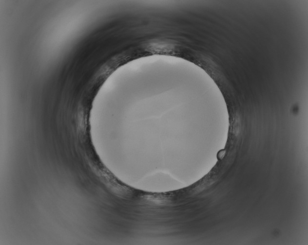 X0000115660763200912241358