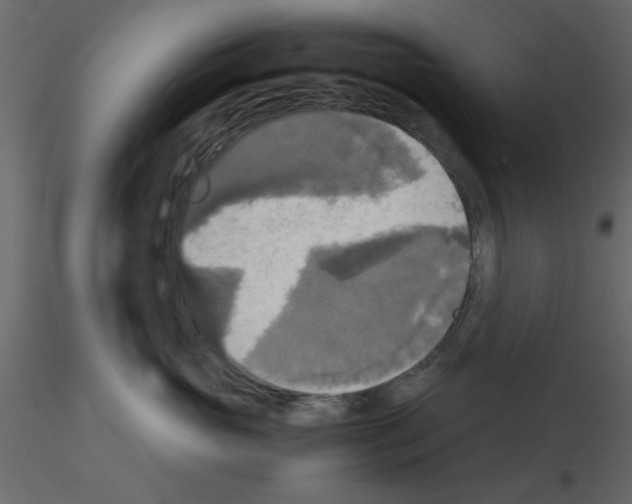 X0000115660765200912241359