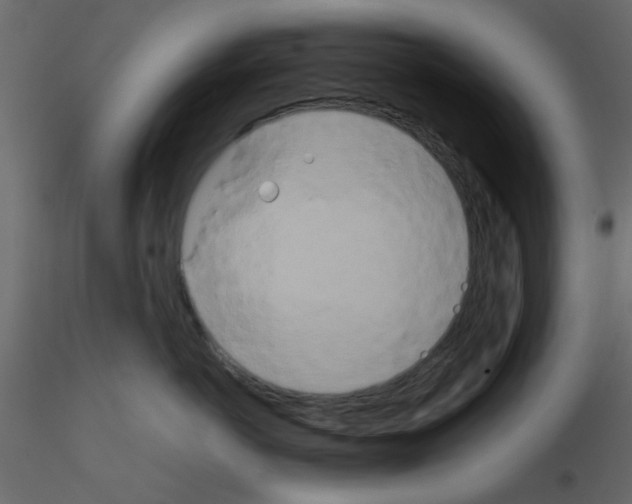 X0000115660766200912241359