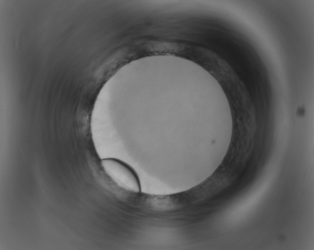 X0000115660767200912241359