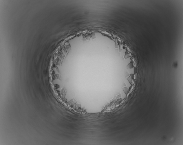 X0000115660769200912241358