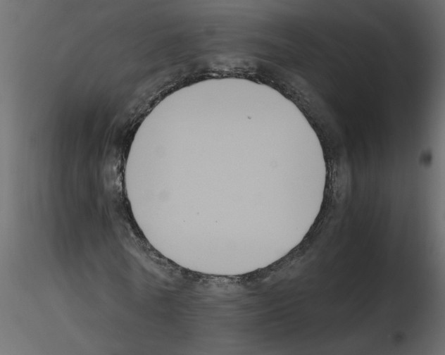 X0000115660770200912241358